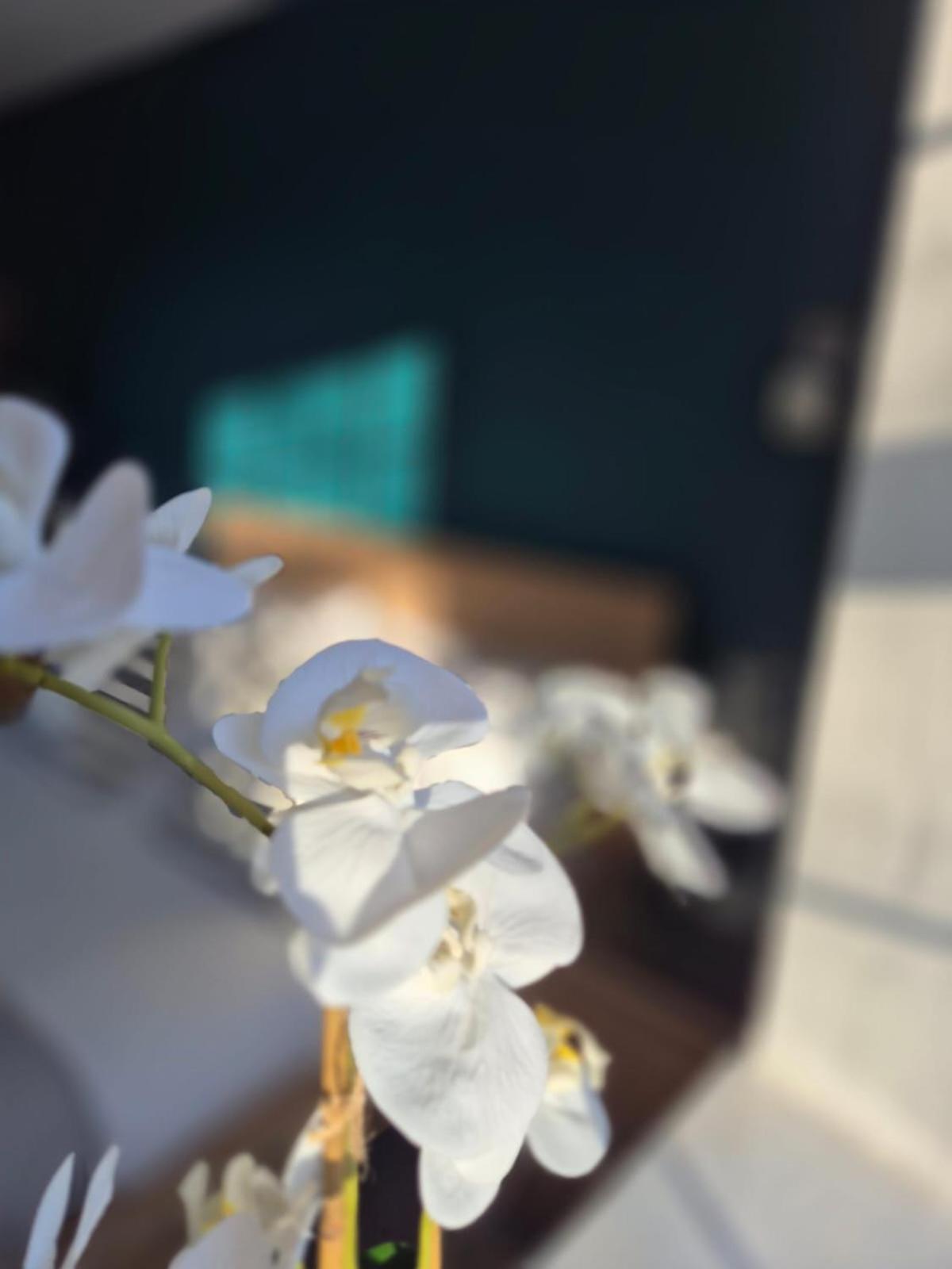 Quarrie House Aparthotel Cramlington Ngoại thất bức ảnh
